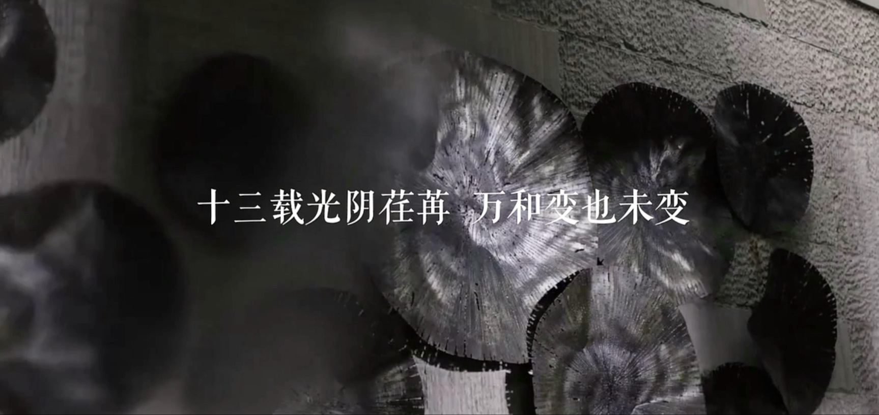 微信图片_20260423164407_224_209.jpg